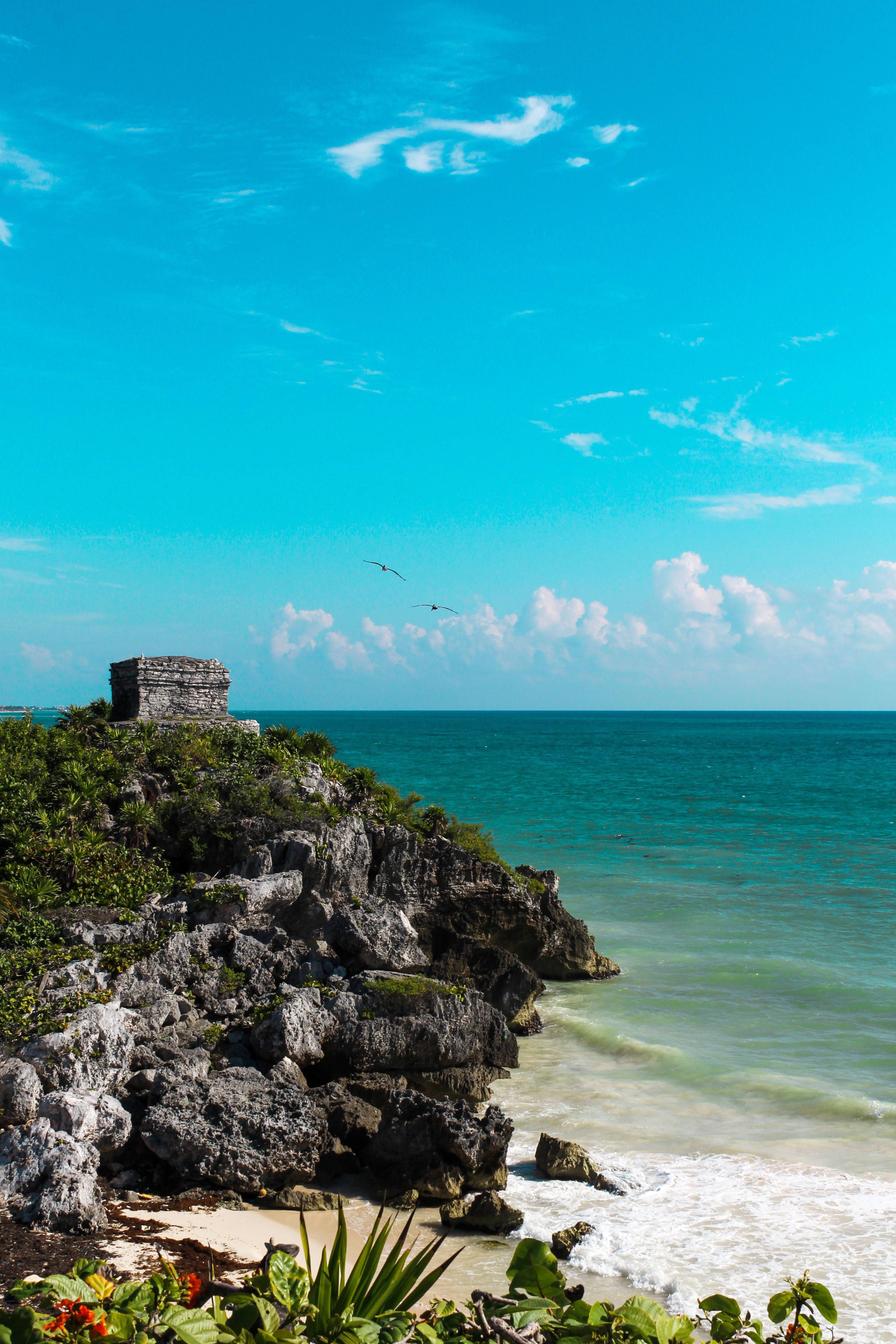 The Tulum ruins seen from the beach below: a Maya temple perched on a limestone cliff above the Caribbean, two pelicans soaring overhead.