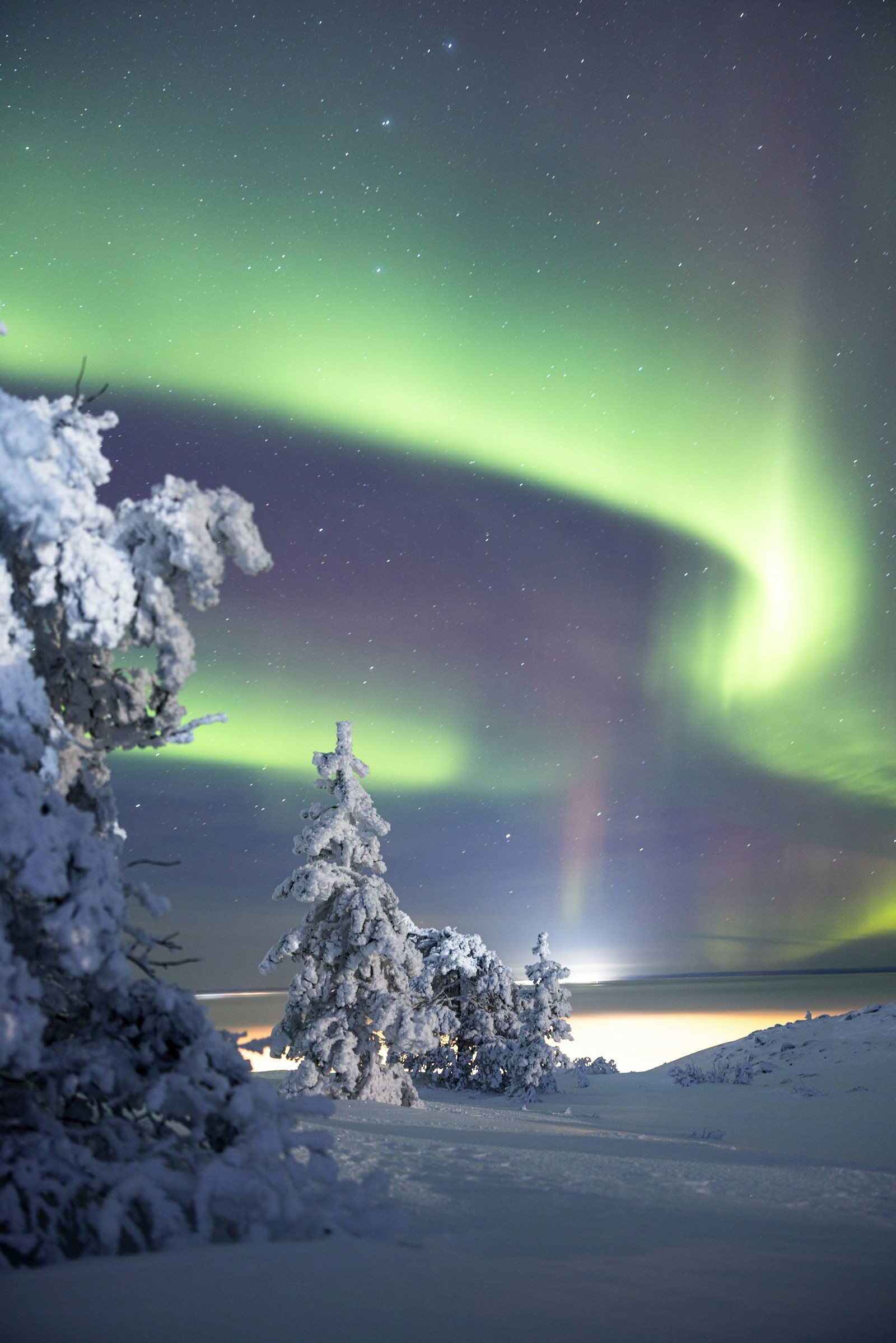 Green and purple northern lights over a snow-covered forest