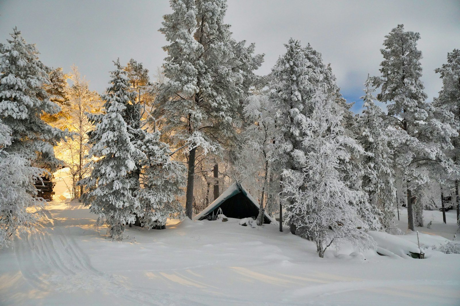 A wooden cabin among snow-covered trees at dusk