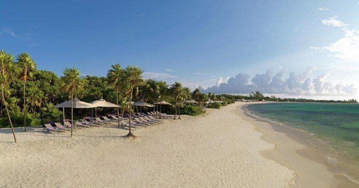 The white sand beach and palms at Paradisus La Perla in Playa del Carmen, Mexico